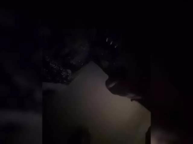 DiiRolla on BongaCams 