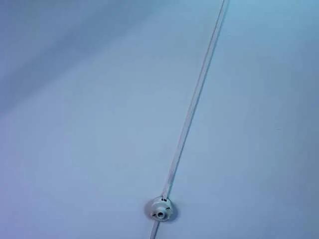 MegganSylph on BongaCams 