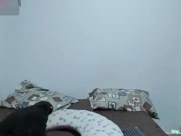 abby_saenz01 on Chaturbate 