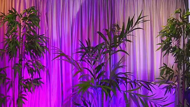 ZennySings on StripChat 